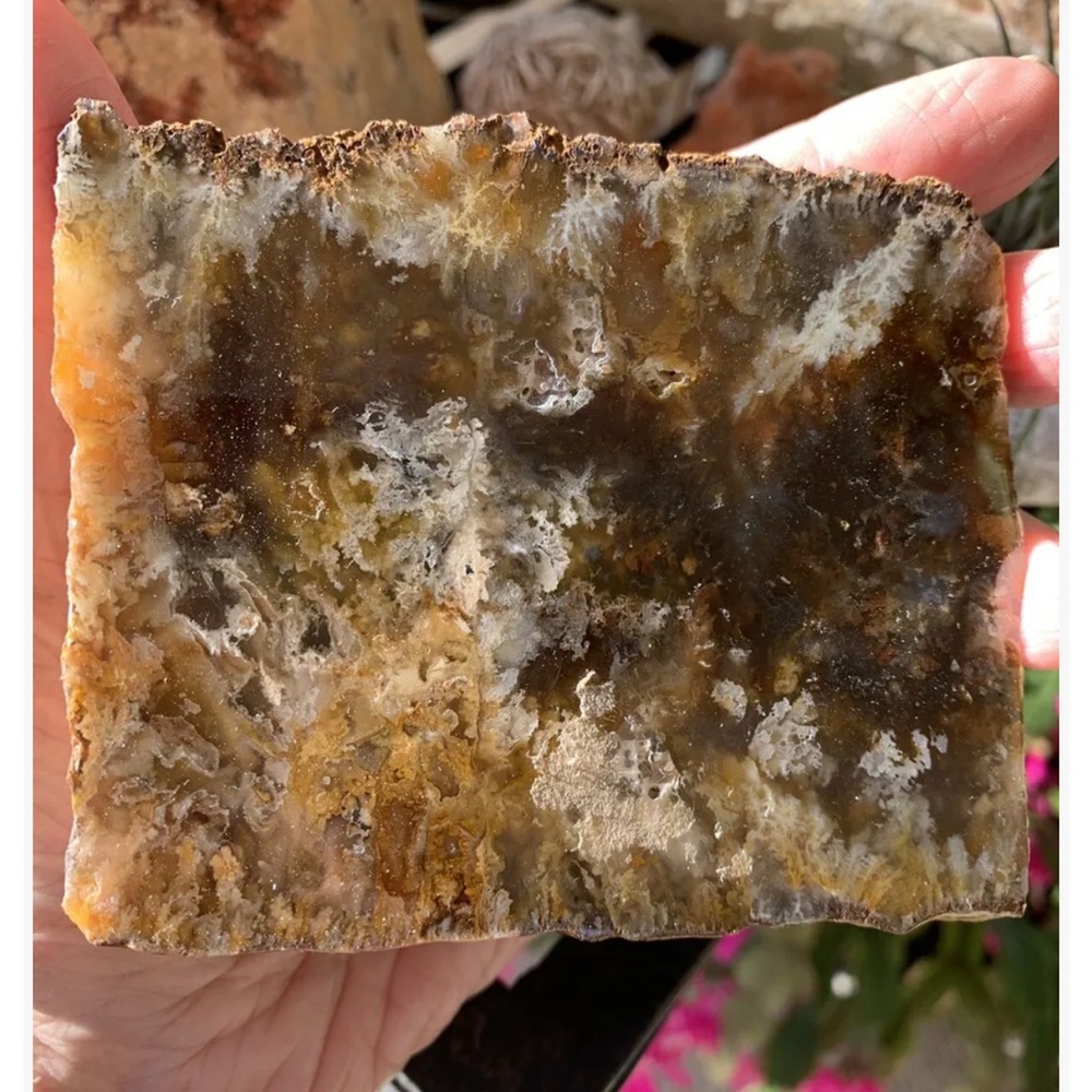 Grave Yard Plume Agate Display Specimen - mined in Oregon USA